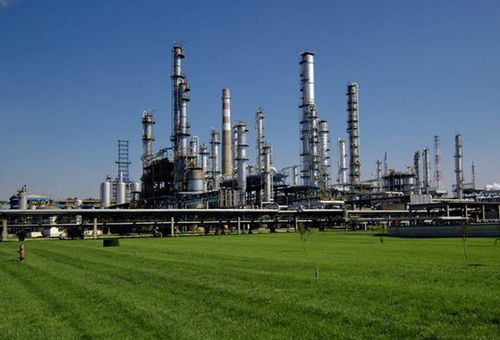 中石油廊坊管道局醫(yī)院DDC/SDDC樁基與輸水管道工程的精細(xì)化施工服務(wù)